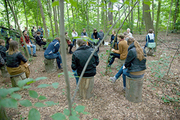 photo of people in a forest